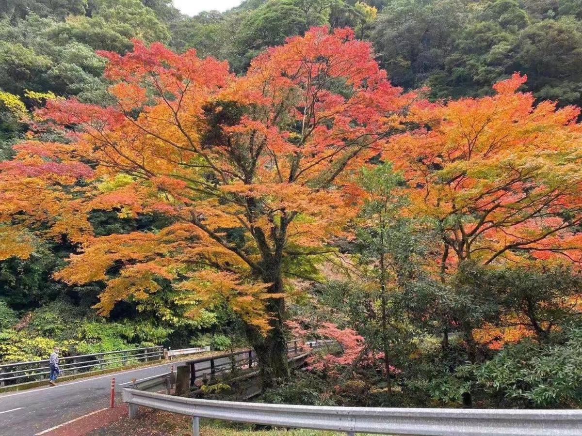Hoshi No Sato Hotel Kirisima Kültér fotó