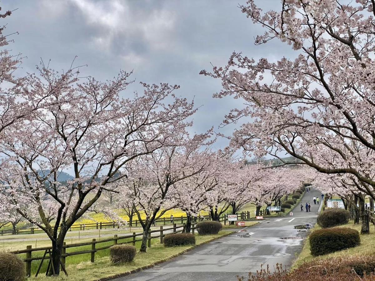 Hoshi No Sato Hotel Kirisima Kültér fotó